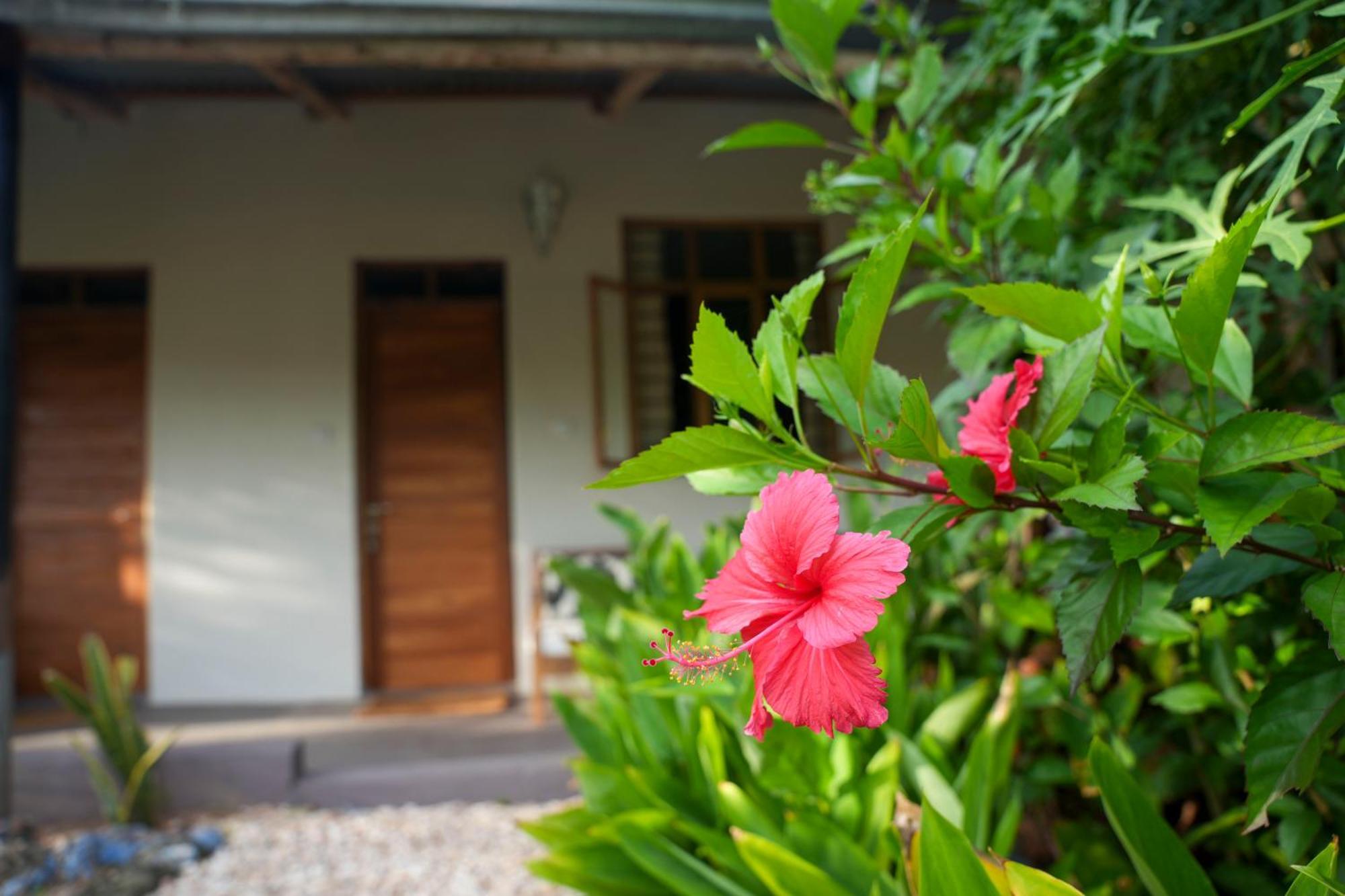 Kendwa Breeze Bungalows Exterior photo
